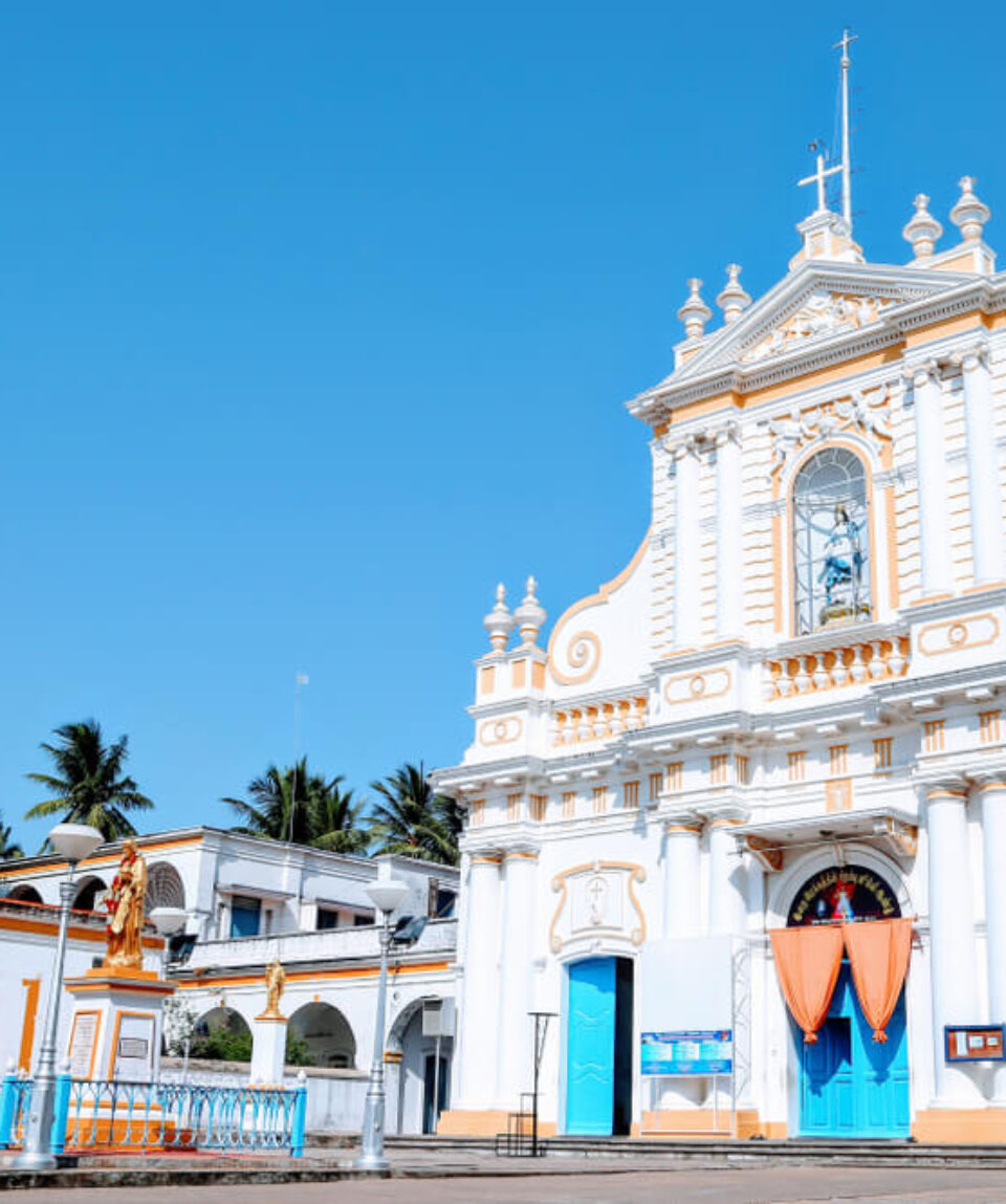 pondi (1)