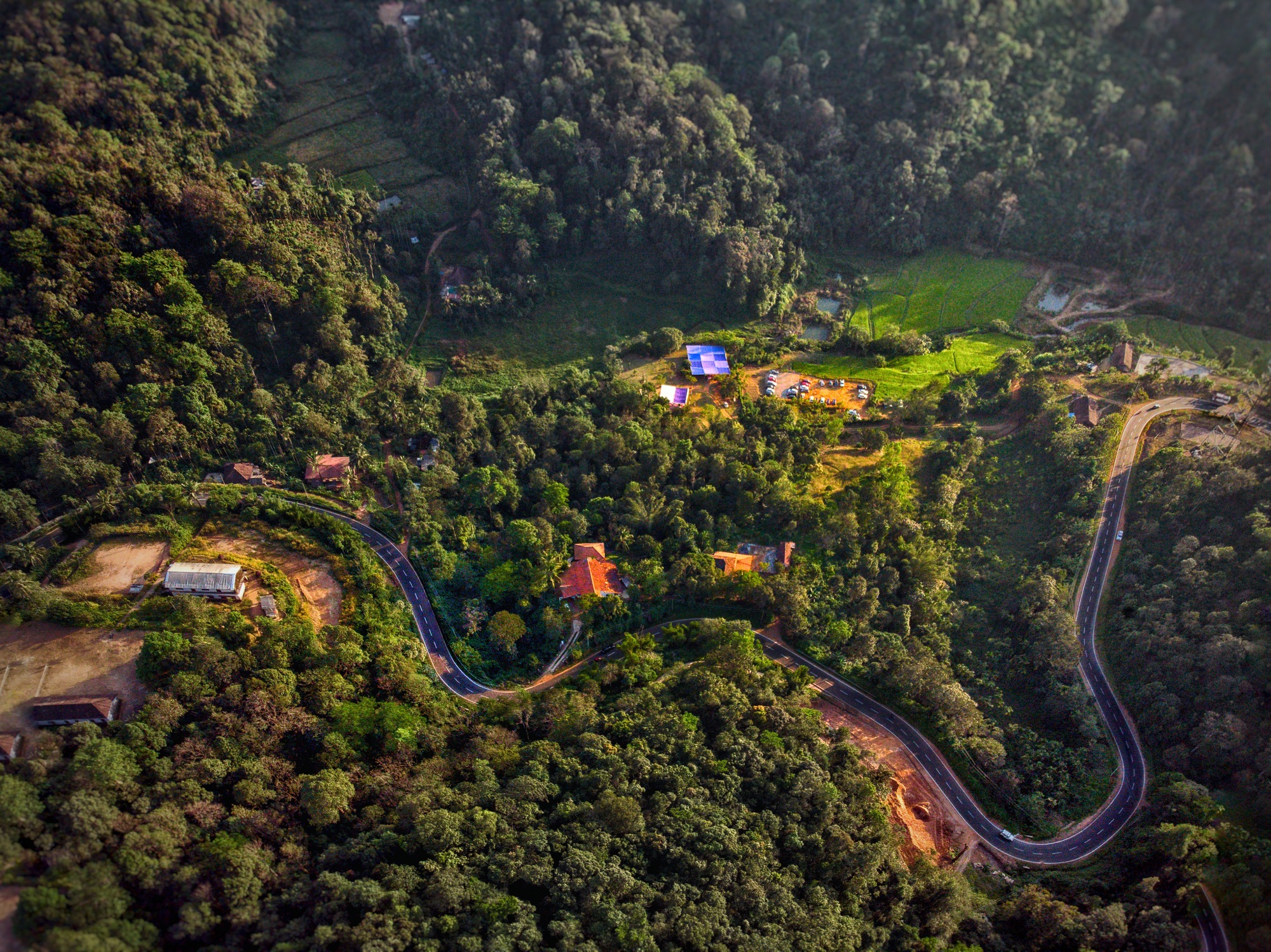 Coorg - Scotland of India - Travayo